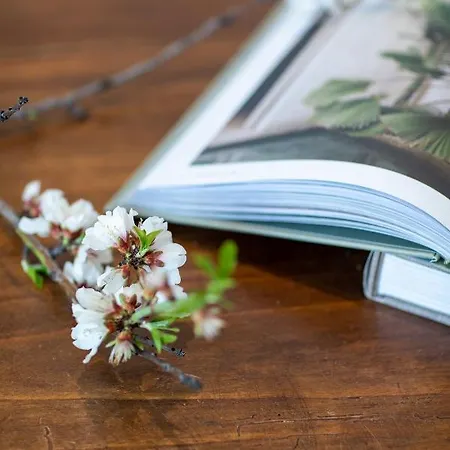 La Vela Appartement *