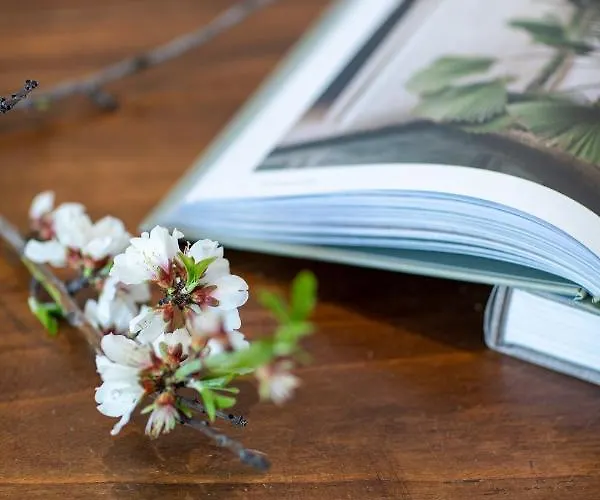 La Vela Apartamento *